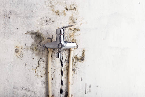 Home Mold Removal in St George, UT