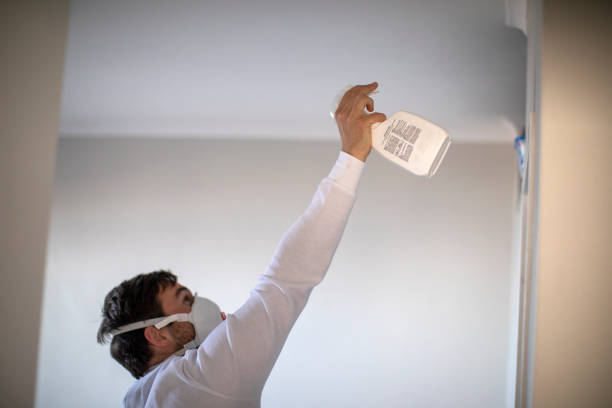 Best Toxic Mold Removal  in St George, UT