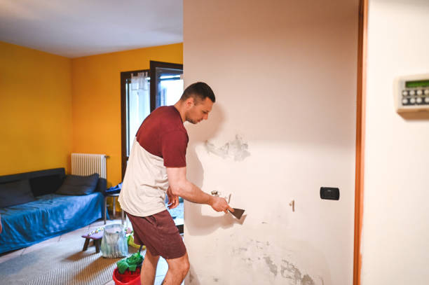 Best Home Mold Removal  in St George, UT