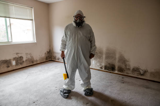 Best Mold Cleaning Services  in St George, UT