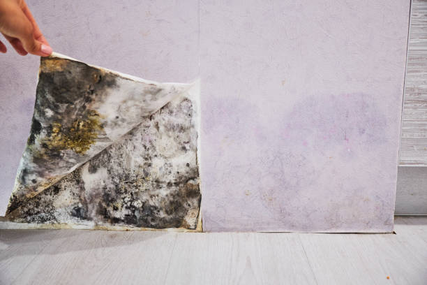 Water Damage Restoration in St George, UT